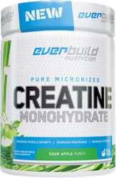 Everbuild Nutriton Creatine Monohydrate Micronized Sour Apple 300gr Everbuild Nutriton Creatine Monohydrate Micronized Sour Apple 300gr