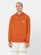Summerdale Sweatshirt with Hood Brown