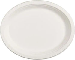 Intertan Disposable Plate 25x19.4cm 100Stück