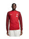 Sweatshirt mit Kapuze Rot