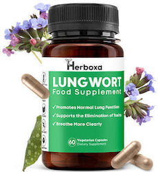 Herboxa Lungwort 60 veg. Kappen