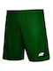 Zina Men's Athletic Shorts Green