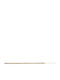 Ro-Ro Accessories Gold Plated Stainless Steel Anklet