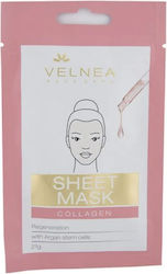 Velnea Face Mask 21gr