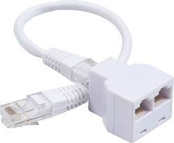 Central RJ-45 male σε RJ-45 2x female