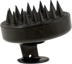 Assim Maseur Pentru Scalp Assim Maseur Pentru Scalp