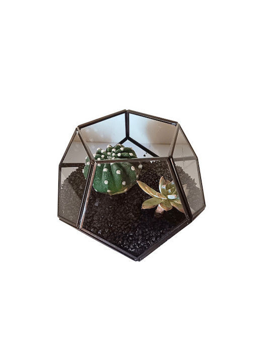 Twix terrarium