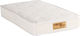 Orion Strom Orthopädisch Matratze Kinderbett 883 Filoxenia Bio Cotton Plus Baby 70cmx140cmx14cm