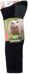 MRK Long Hunting Socks Woolen in Khaki color