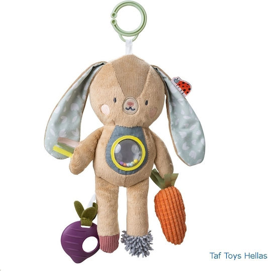 Taf Toys Pendant Toy for Car with Teether 13185