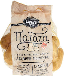 Myrto Packaged Greek Quality A Net Potatoes (1 Net / 3kg)