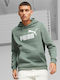 Big Logo Men's Sweatshirt with Khaki Hood
