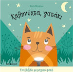 Καληνύχτα, Γατάκι , A Book with a Magic Flashlight