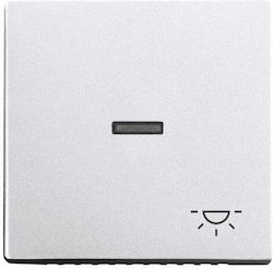 Abb Switch Front in Silver Color 29410