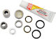 Pivot Works Motorcycle Bearing
