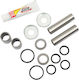 Pivot Works Motorcycle Bearing