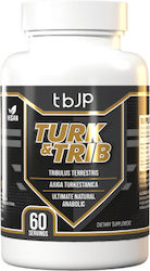 tbJp Turk &Trib 500mg 60 Mützen