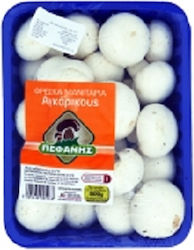Weiße Pilze Importiert aus Pefanis (500 g)