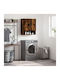 vidaXL Bathroom Cabinet L60xW31xH70cm Oak