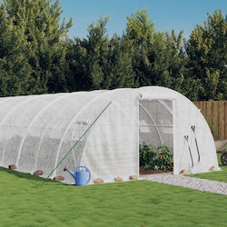 vidaXL 3188073 Greenhouse 6x4x2m