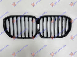 Prasco Dekorative Auto Maske BMW X5 (G05)