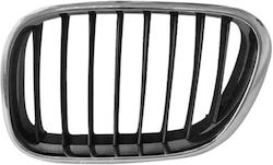 Prasco Dekorative Auto Maske BMW X5 (E53) / X5