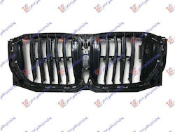 Prasco Dekorative Auto Maske Chrysler Vision BMW X5 (G05)