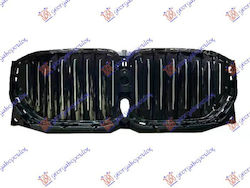 Prasco Car Front Mask Decoration