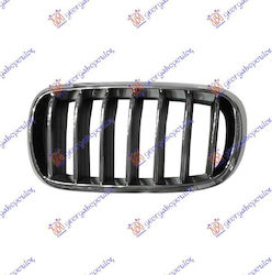 Prasco Dekorative Auto Maske BMW X5 (F15)