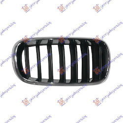 Prasco Dekorative Auto Maske BMW X5 (F15)