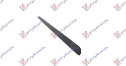 Prasco Door molding Car for Skoda Roomster