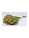 Buchet din Flori Artificiale Verde 50cm Faitakis Pack