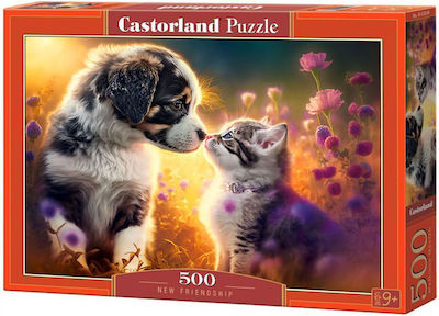 Friendship Puzzle 2D 500 Pieces