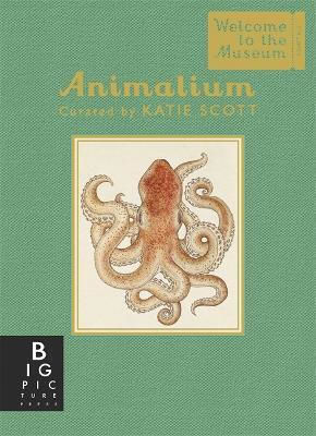 Animalium, Welcome To The Museum Animalium, Welcome To The Museum