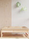 Zweisitziges Sofa Außenbereich Holz mit Kissen 120x80x30cm