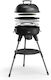 Thermogatz Portable Gas Grill with 1 pcs 4kW