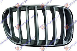 Prasco Dekorative Auto Maske BMW X3 (F25)