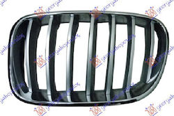 Prasco Dekorative Auto Maske BMW X3 (F25)