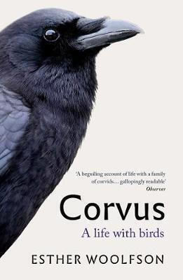 Corvus, A Life With Birds