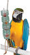 Caitec Zubehör für Vogelkäfige 30x6cm