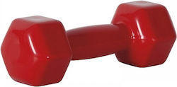 Vinyl Hexagon Dumbbell x 10kg