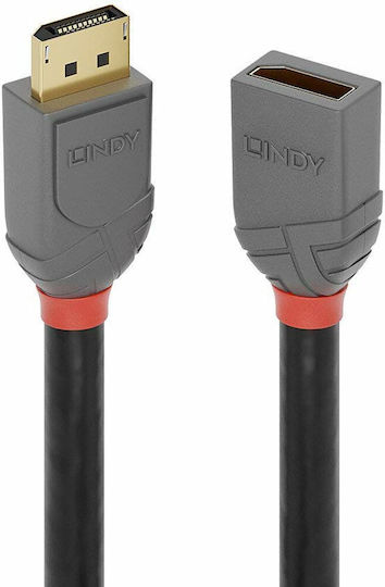 Lindy Kabel DisplayPort-Stecker - DisplayPort-Buchse 3m Schwarz (36498)