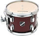 Millenium Tom Focus 10" x 7"