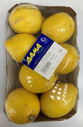 Λεμόνια Εισαγωγής (ελάχιστο βάρος 1.25kg)