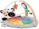 Baby Einstein Γυμναστήριο Δραστηριοτήτων για Νεογέννητα