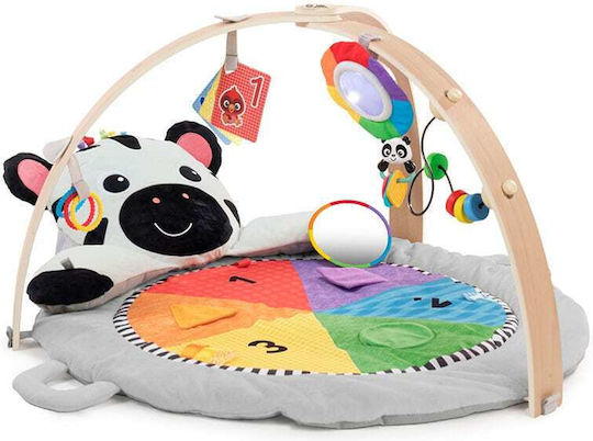 Baby Einstein Γυμναστήριο Δραστηριοτήτων για Νεογέννητα