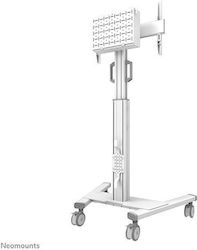 Neomounts FL50S-825WH1 Suport TV Montat Pe Perete Până La 75"