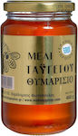 Φωτόπουλος Χαράλαμπος Honey Thyme 460gr