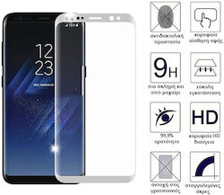 Tempered Glass (Samsung Galaxy S8 Plus)