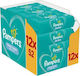 Pampers Fresh Clean 12x52Stk